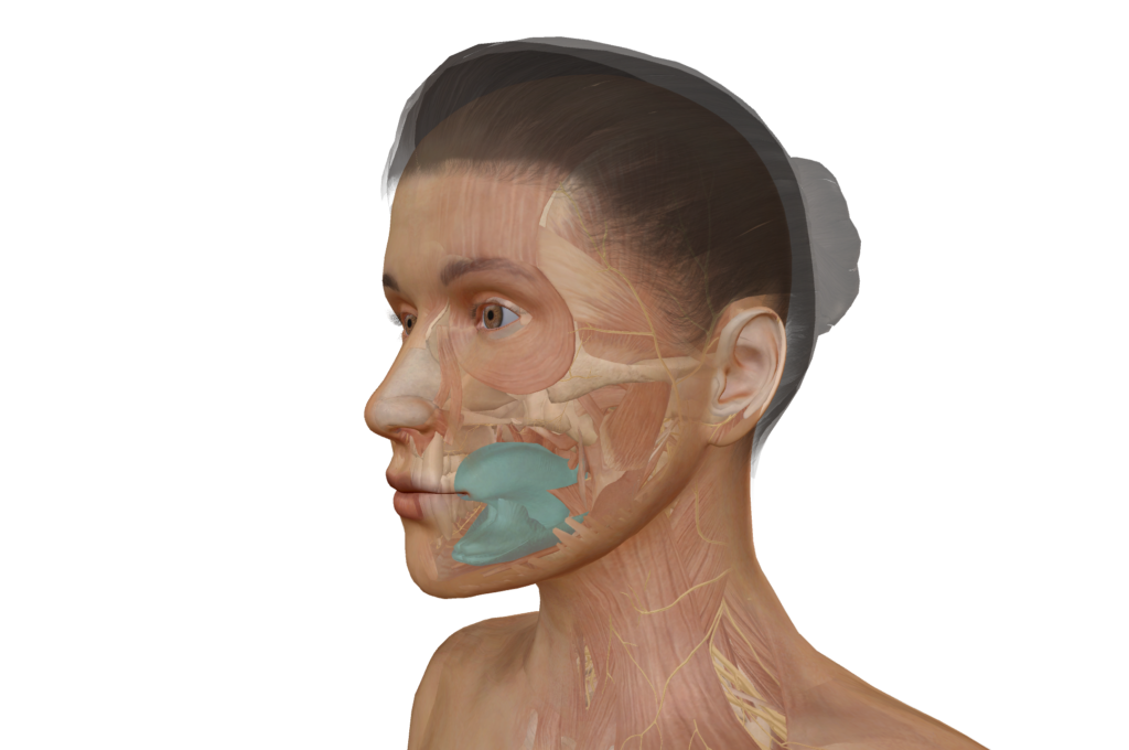 Gerade Zähne durch Gesichtstraining