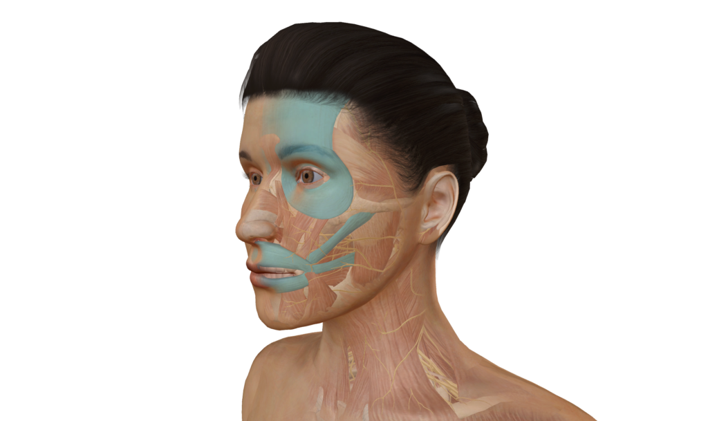 Alternative für Facelifting: Gesichtsmuskulatur entspannen und kräftigen